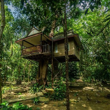 Baan Khaosok Resort Khao Sok National Park Esterno foto