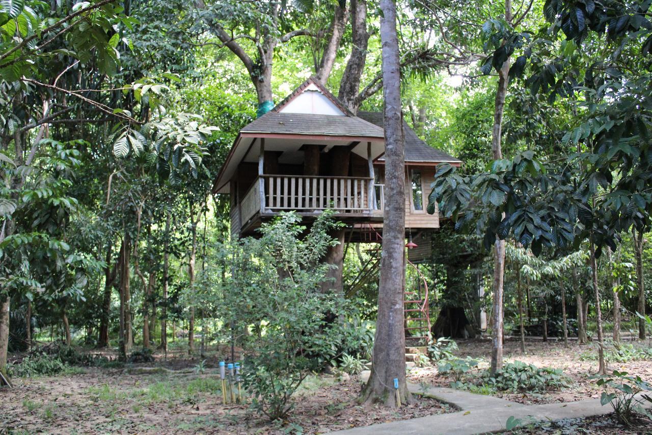 Baan Khaosok Resort Khao Sok National Park Esterno foto