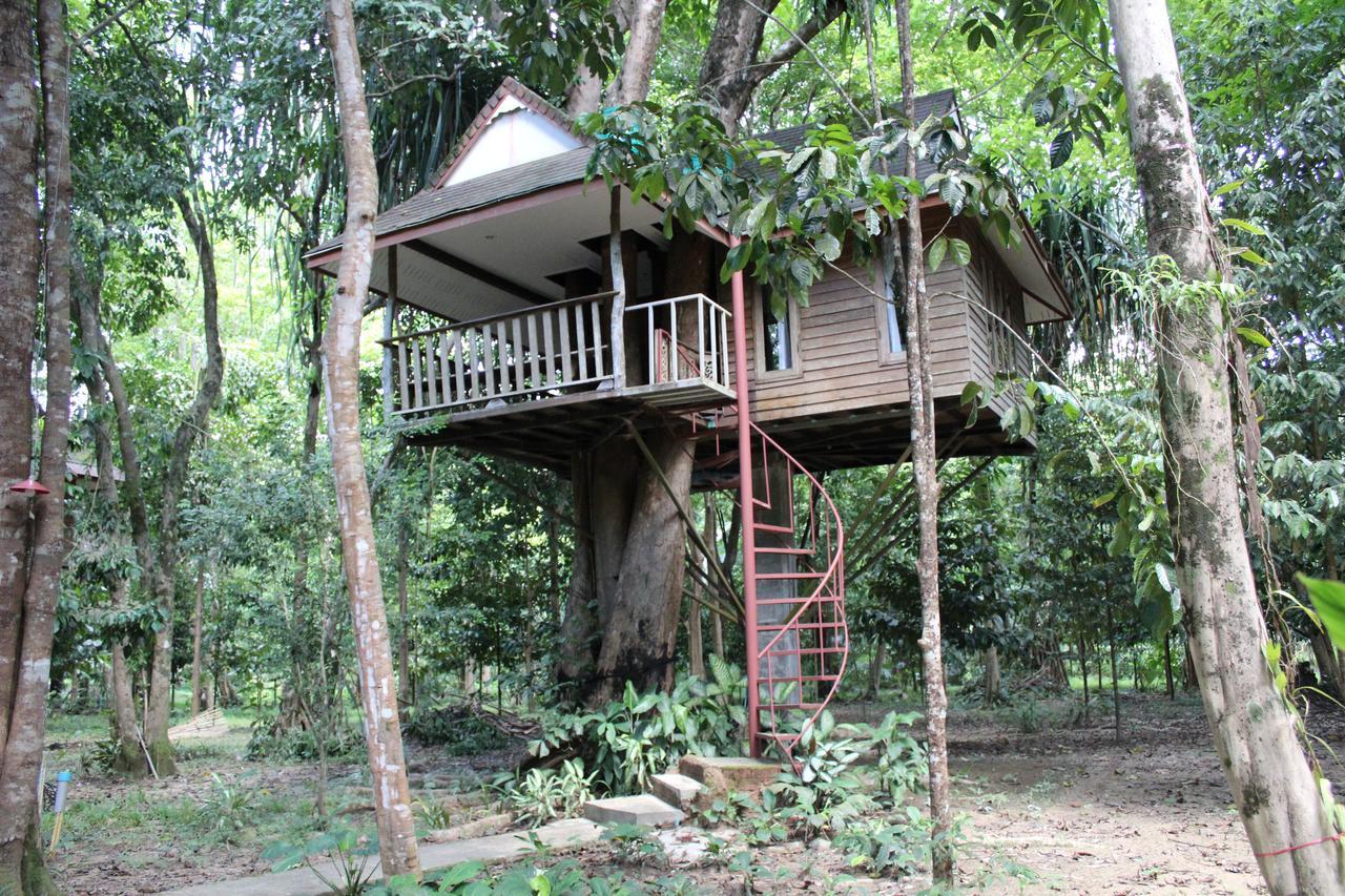 Baan Khaosok Resort Khao Sok National Park Esterno foto